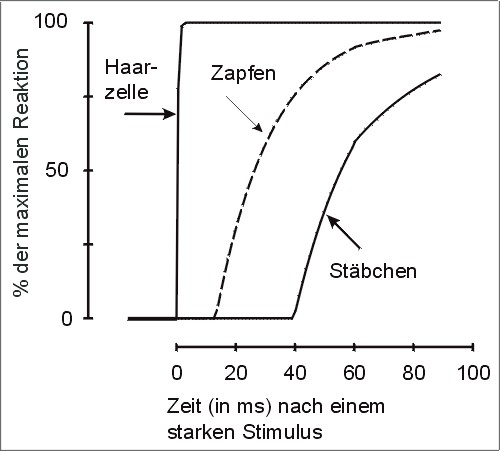 haa03bl.jpg