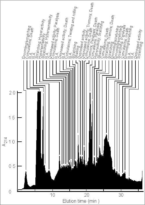 cono03bl.jpg