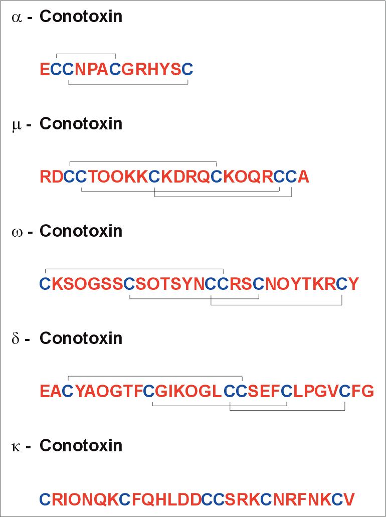 cono04ah.jpg