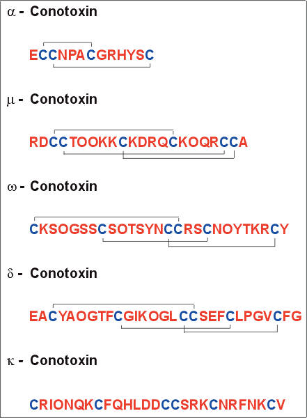 cono04al.jpg