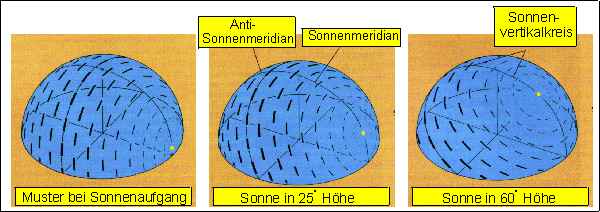 polskyl.jpg