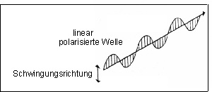 polwave.jpg