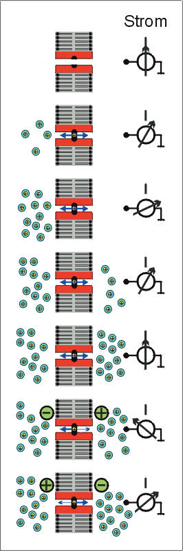ion03l.jpg