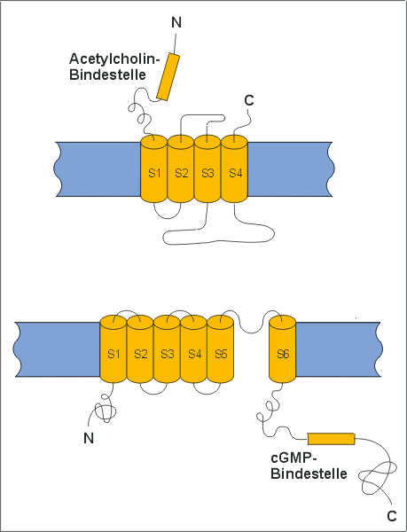 ion05al.jpg