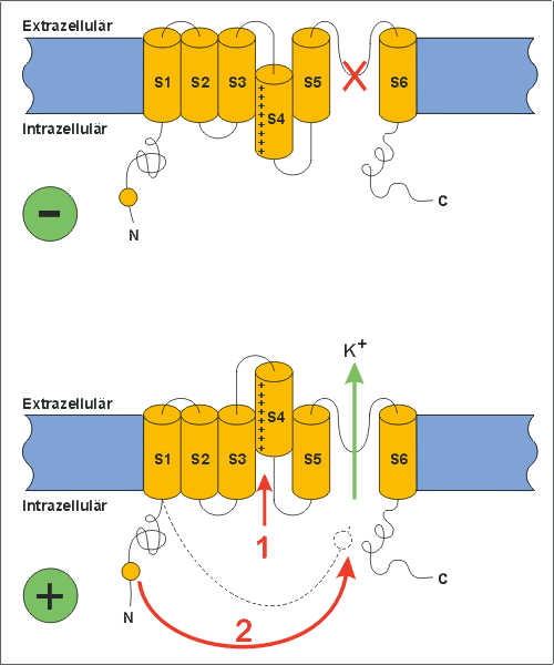 ion06al.jpg