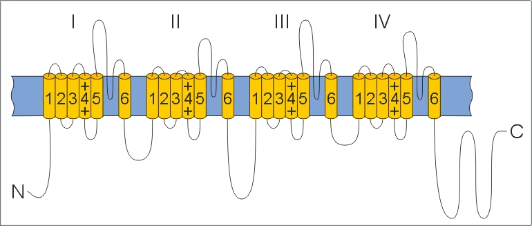 ion06bh.jpg