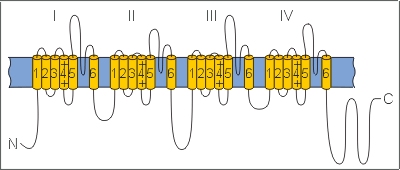 ion06bl.jpg