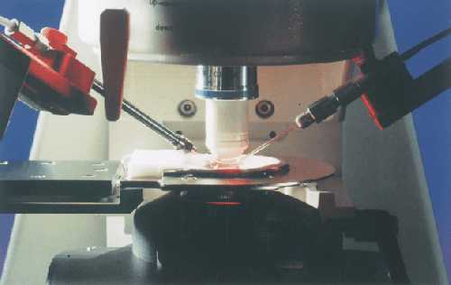 pipetl.jpg