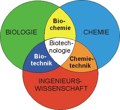 biotechh.jpg