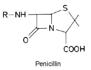 penicil.jpg