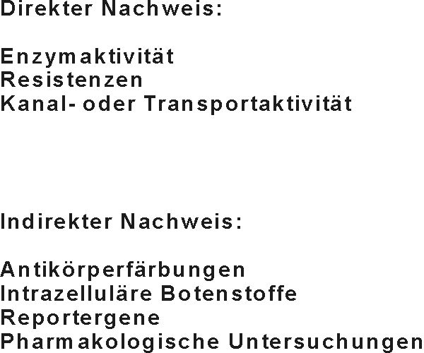fremd1.jpg