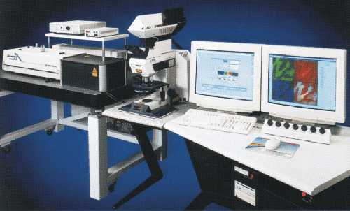 2photo3l.jpg