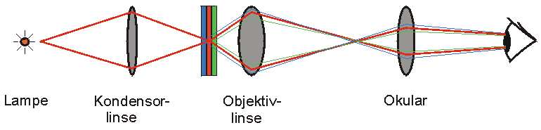 confo1l.jpg