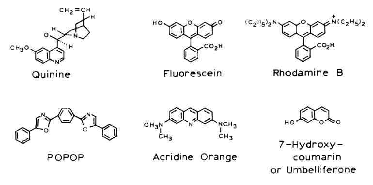 fluo1bl.jpg