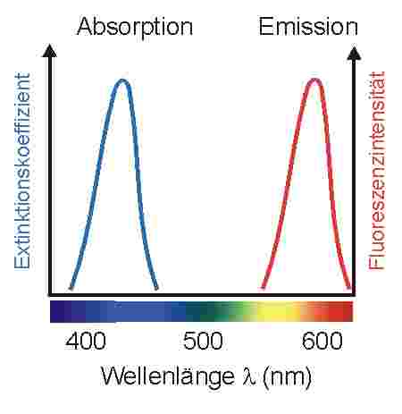 fluo2al.jpg