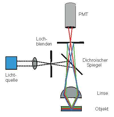 fluoconl.jpg