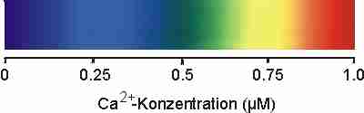 spectrl.jpg