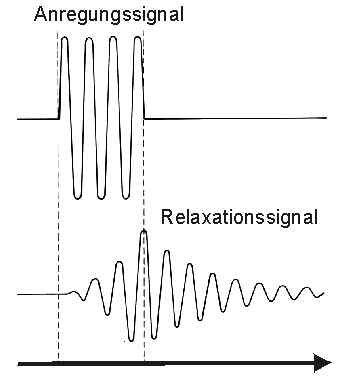 signall.jpg