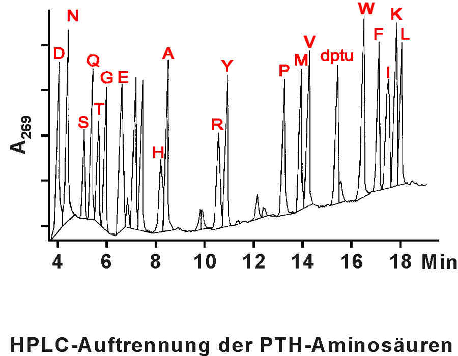 edmann3.jpg