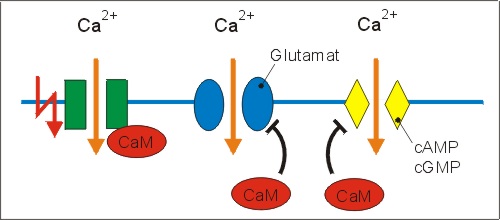 cachan2l.jpg