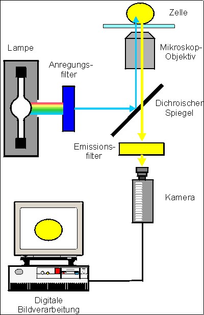 fluotech.jpg