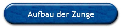 Aufbau der Zunge