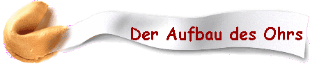 Der Aufbau des Ohrs