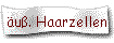 u. Haarzellen