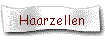 Haarzellen