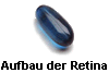 Aufbau der Retina
