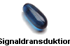 Signaldransduktion