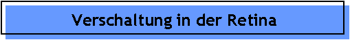 Verschaltung in der Retina