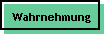 Wahrnehmung
