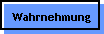 Wahrnehmung